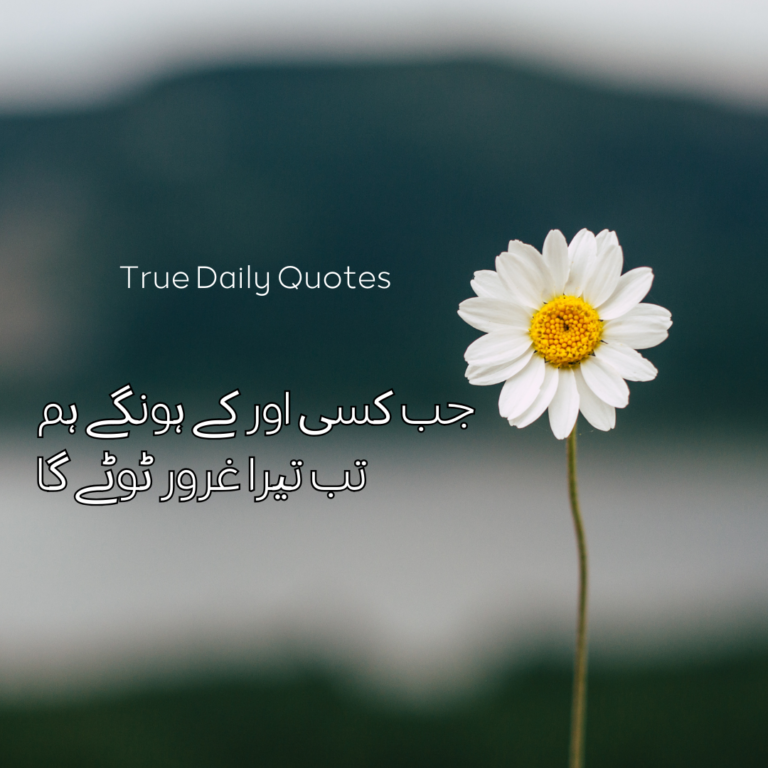 Best Sad Urdu Quotes For Whatsapp Status 2024