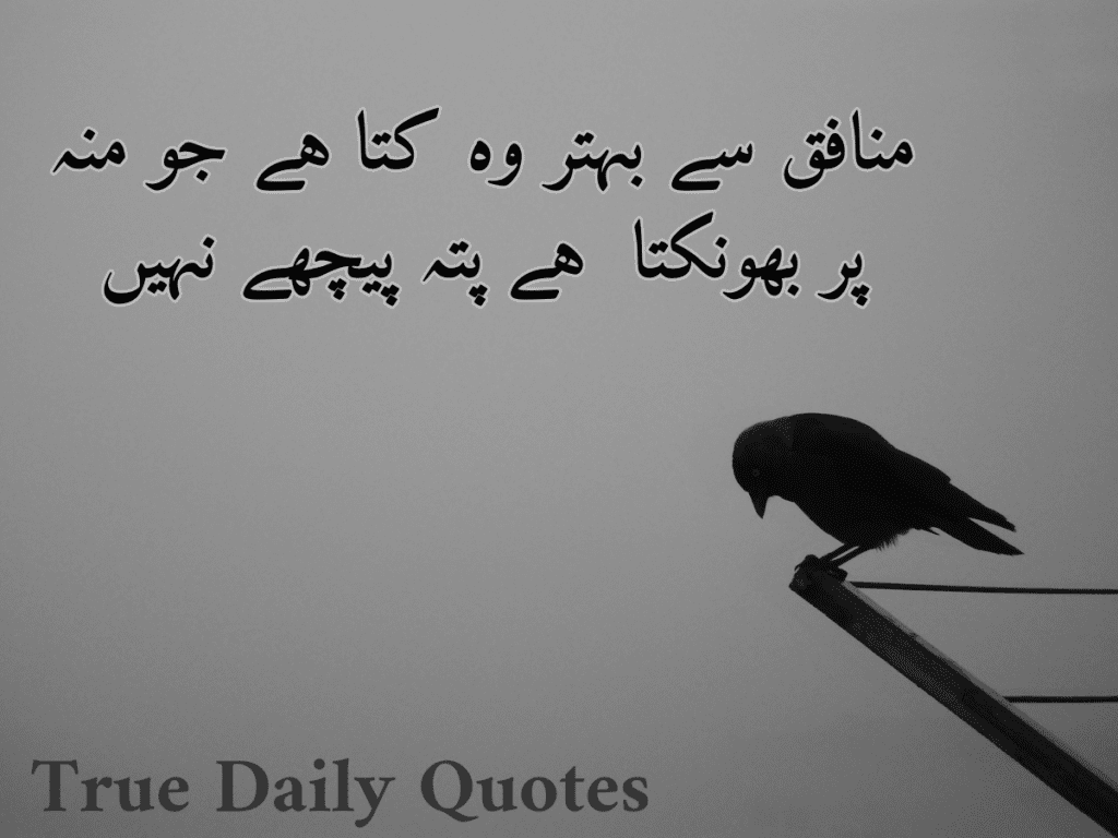 Deep Urdu Quotes Text, Copypaste