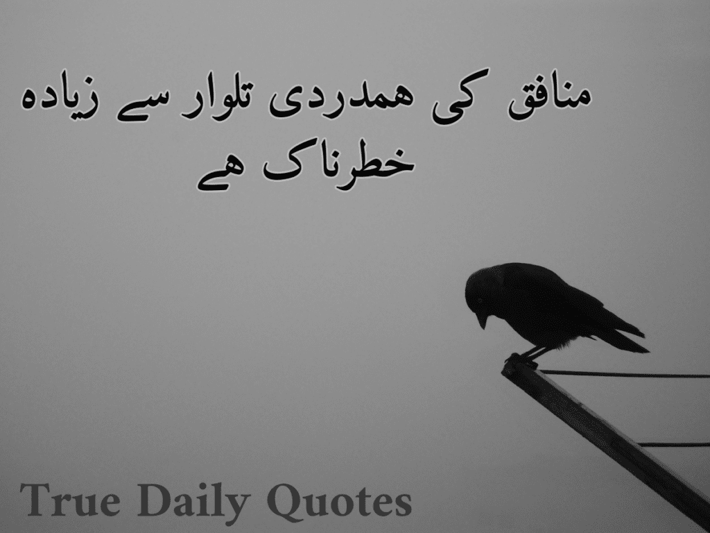 Deep Urdu Quotes Text, Copypaste