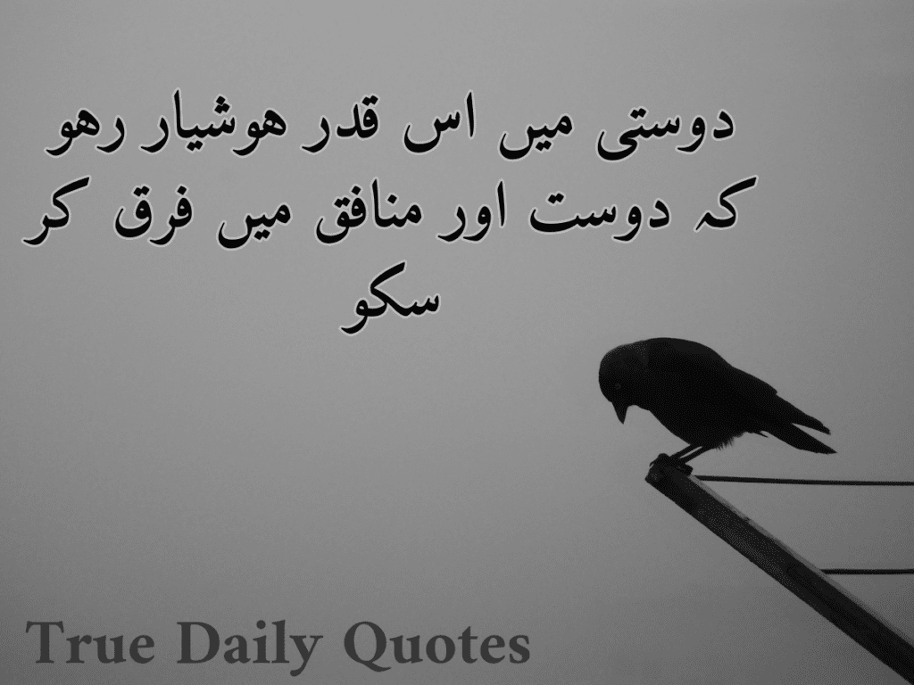 Deep Urdu Quotes Images and Text Copypaste