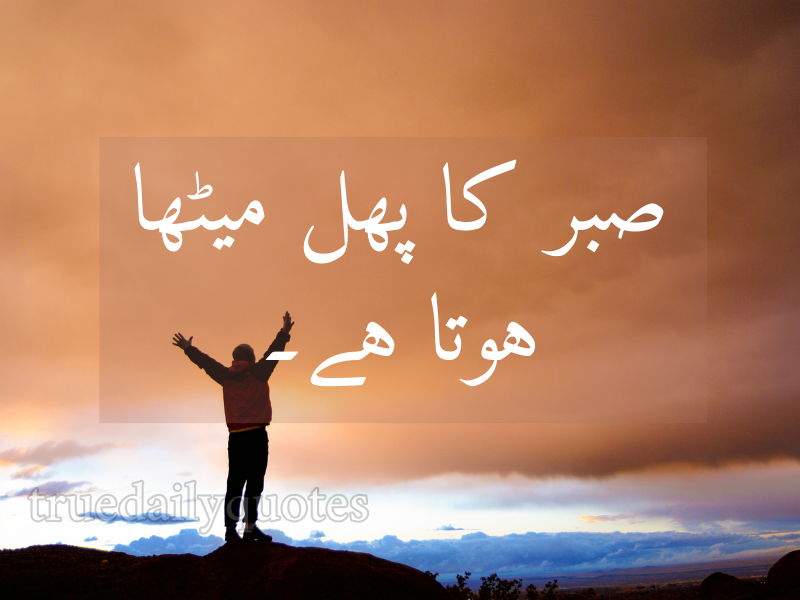 15+ Best Mola Ali Quotes in Urdu (2024)