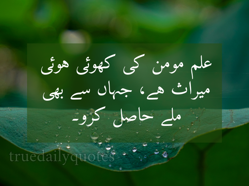 15+ Best Mola Ali Quotes in Urdu (2024)