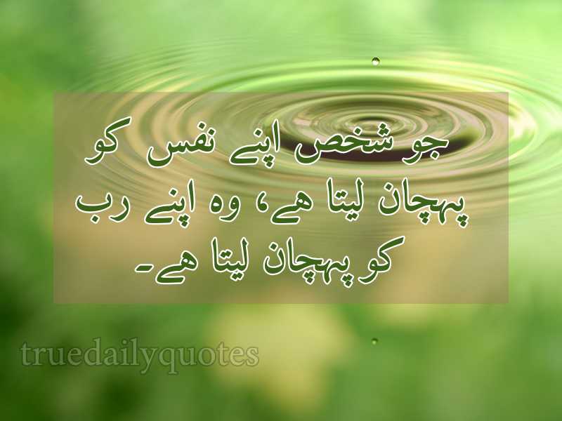 15+ Best Mola Ali Quotes in Urdu (2024)