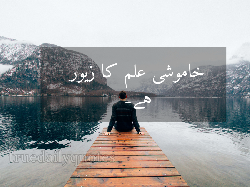 15+ Best Mola Ali Quotes in Urdu (2024)