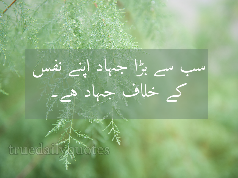 15+ Best Mola Ali Quotes in Urdu (2024)