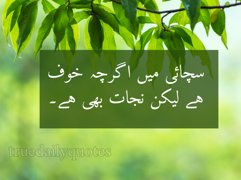 15+ Best Mola Ali Quotes in Urdu (2024)