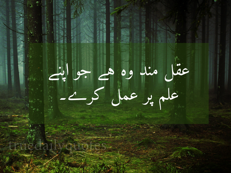 15+ Best Mola Ali Quotes in Urdu (2024)