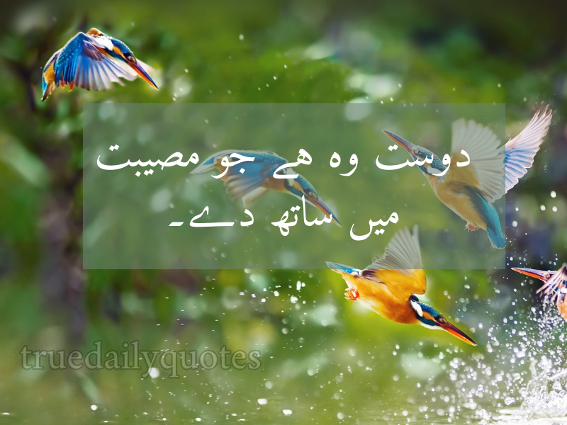 15+ Best Mola Ali Quotes in Urdu (2024)