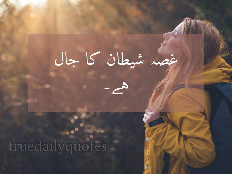 15+ Best Mola Ali Quotes in Urdu (2024)