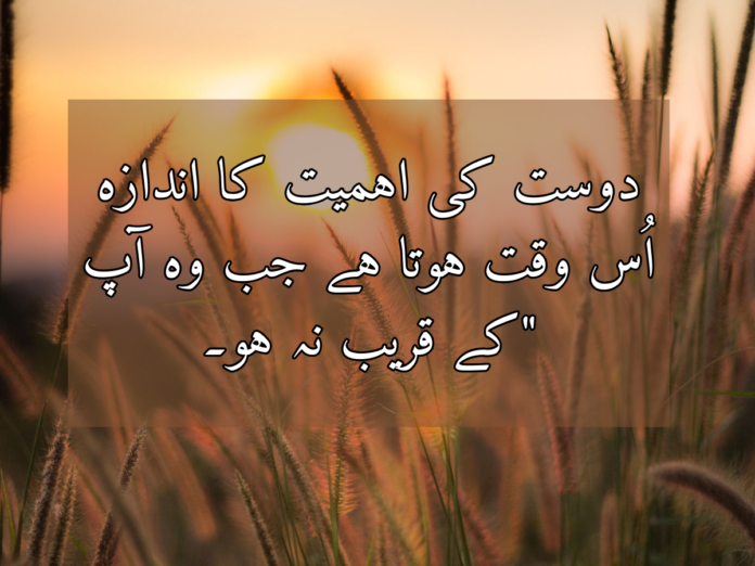 17+ best friend quotes in Urdu