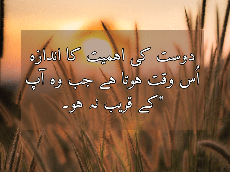 17+ best friend quotes in Urdu (2024)